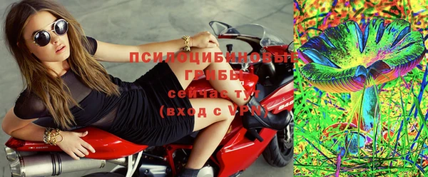 эйфоретик Нефтекумск
