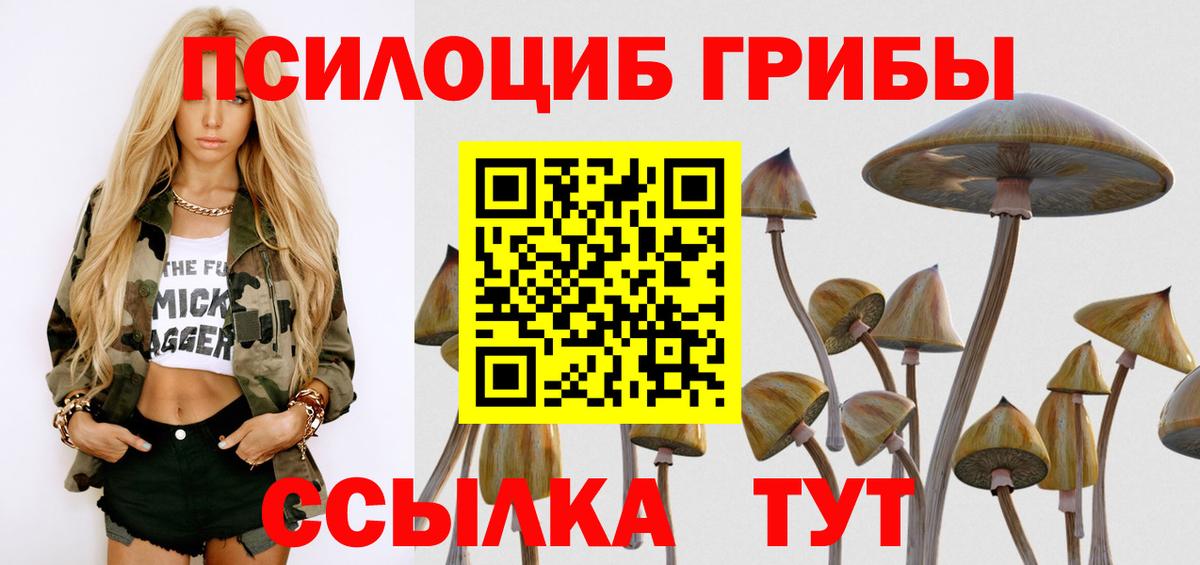 Псилоцибиновые грибы мухоморы  Галлюциногенные грибы ЛСД  Кисловодск  Вход с VPN 